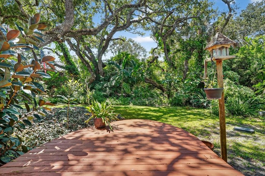 120 Beach Street Ponce Inlet, FL 32127 - Photo 79 of 91 a view of a yard with plants and large trees