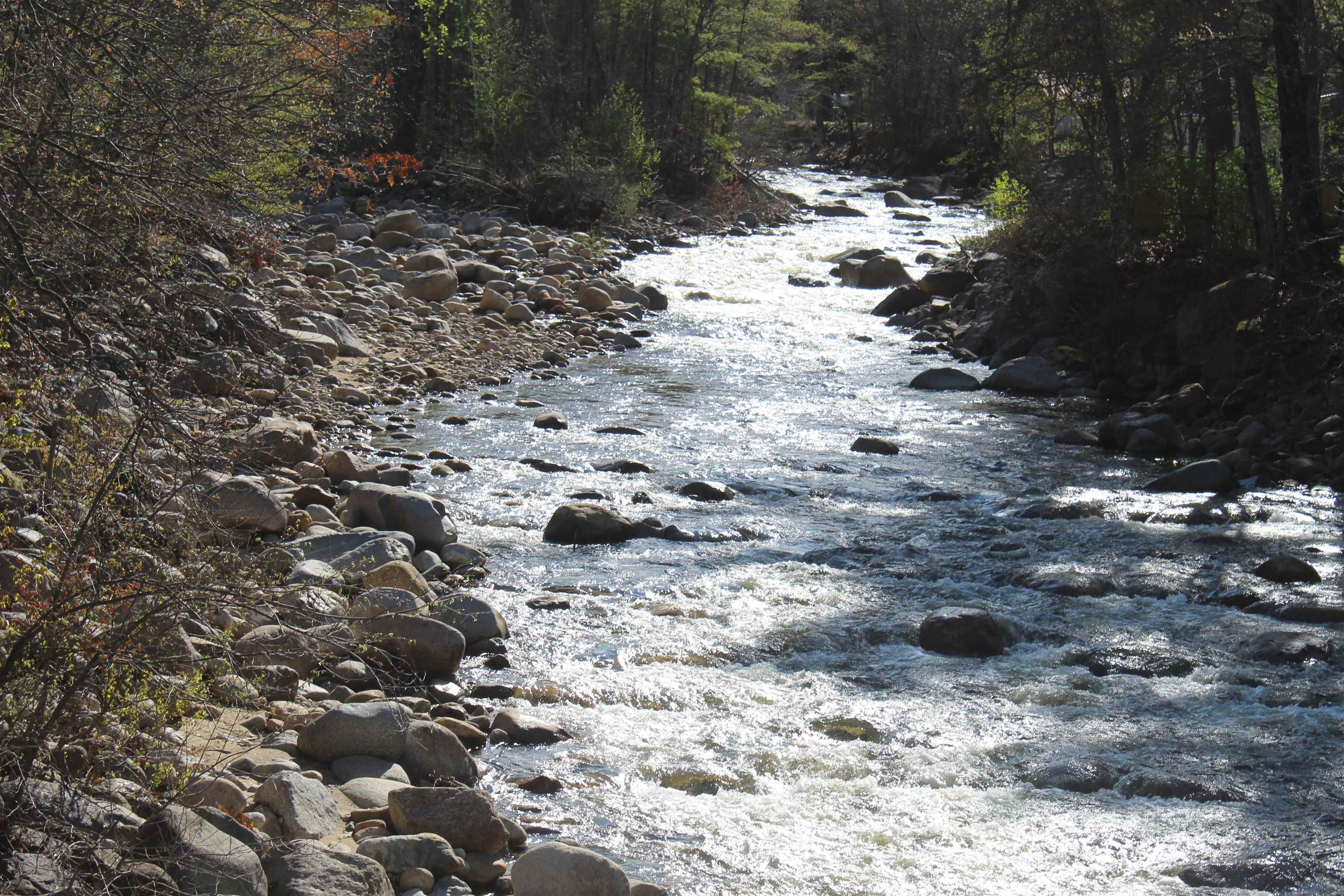 90 Chandler Mountain Road Bartlett, NH 03845 - Photo 28 of 35