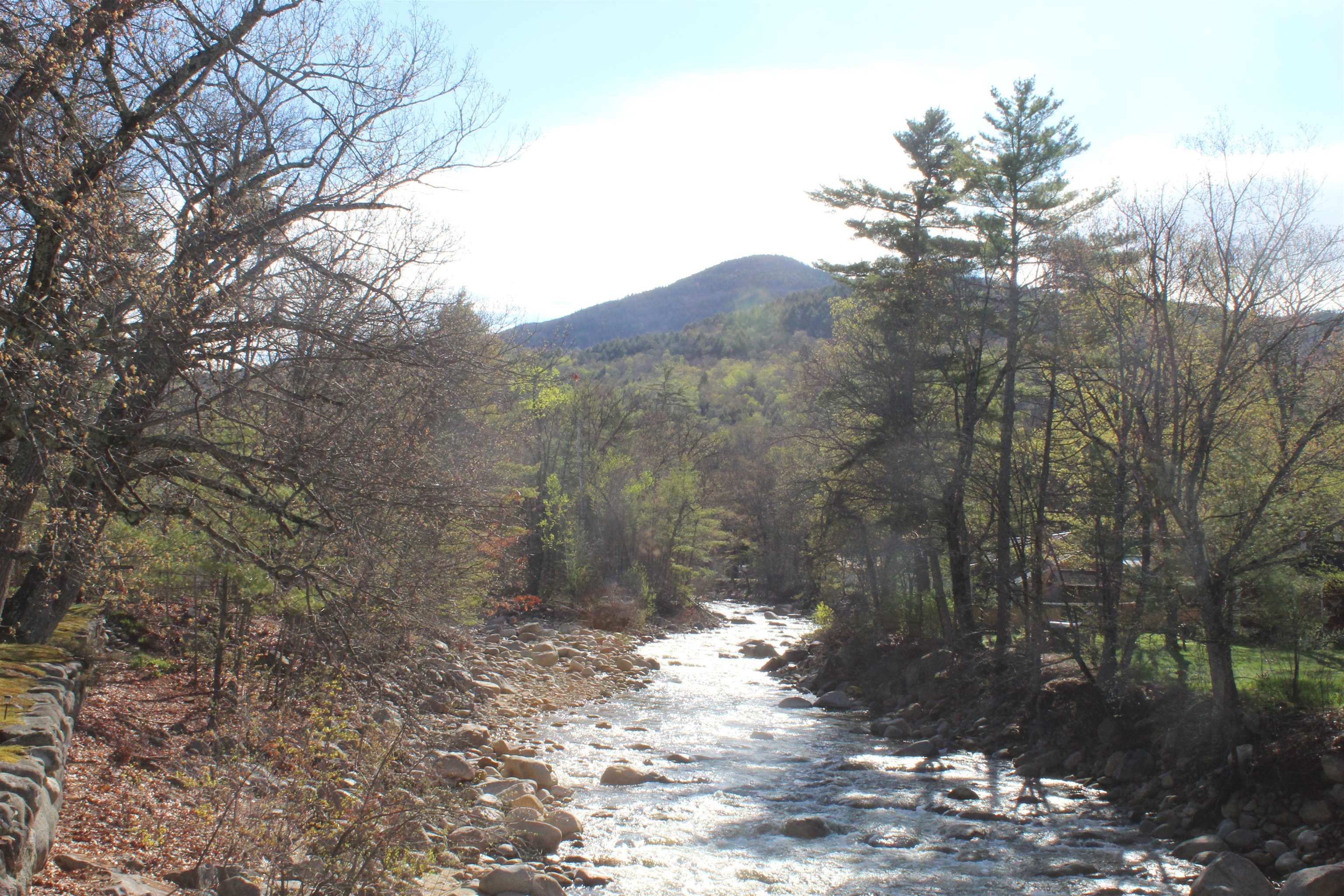 90 Chandler Mountain Road Bartlett, NH 03845 - Photo 29 of 35