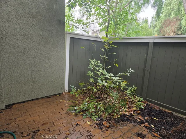 a plant that is in front of a house