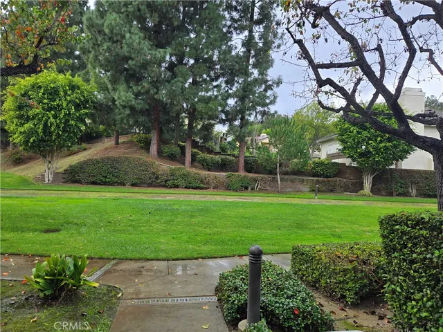 a view of a backyard with large trees