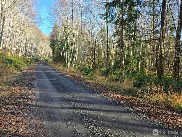 $149,000 | -nka Fall River Road, Cosmopolis, WA 98537