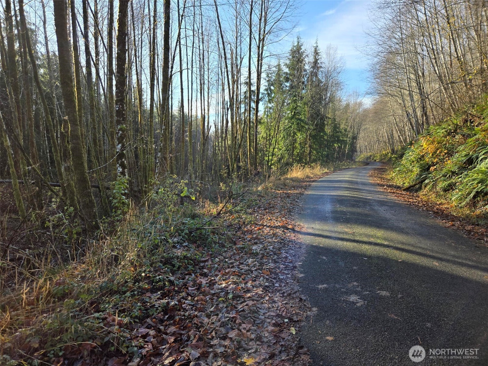 -nka Fall River Road Cosmopolis, WA 98537 - Photo 11 of 11 a view of backyard with green space