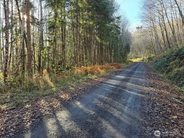 $149,000 | -nka Fall River Road, Cosmopolis, WA 98537