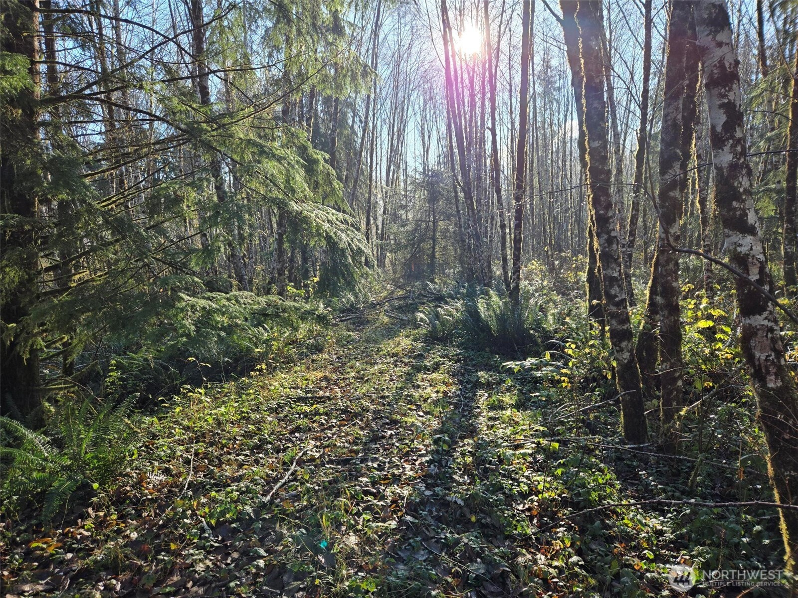 -nka Fall River Road Cosmopolis, WA 98537 - Photo 3 of 11 a view of outdoor space and green space