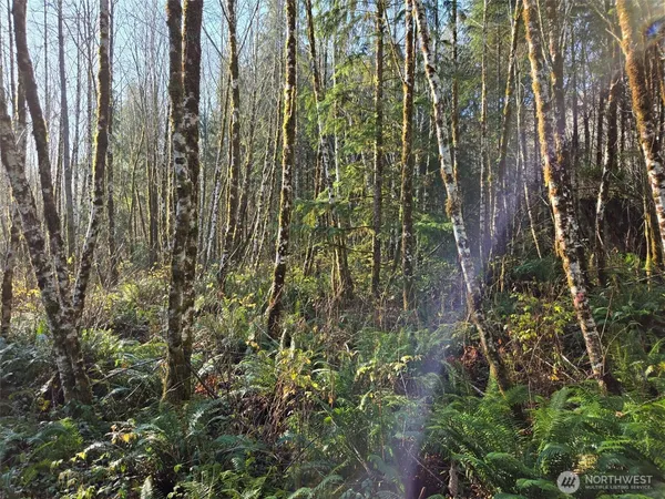 $149,000 | -nka Fall River Road, Cosmopolis, WA 98537