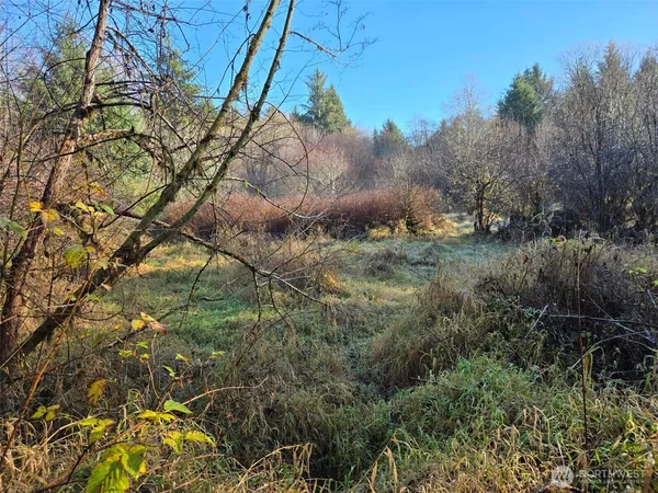 $149,000 | -nka Fall River Road, Cosmopolis, WA 98537