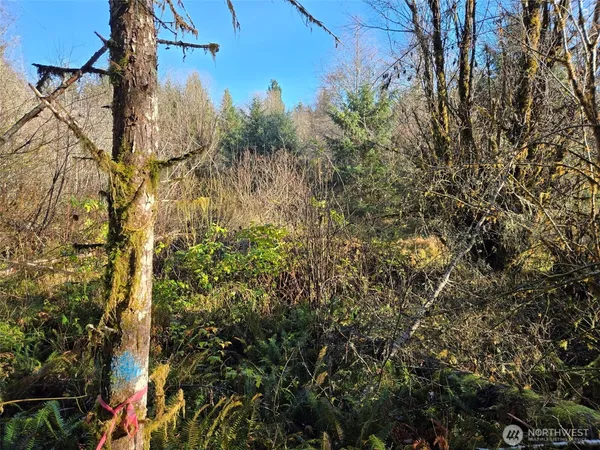 $149,000 | -nka Fall River Road, Cosmopolis, WA 98537