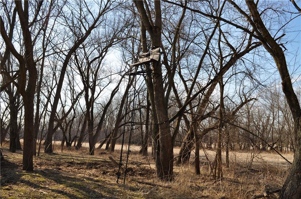 Southeast Adams Road Maysville, MO 64469 - Photo 21 of 26
