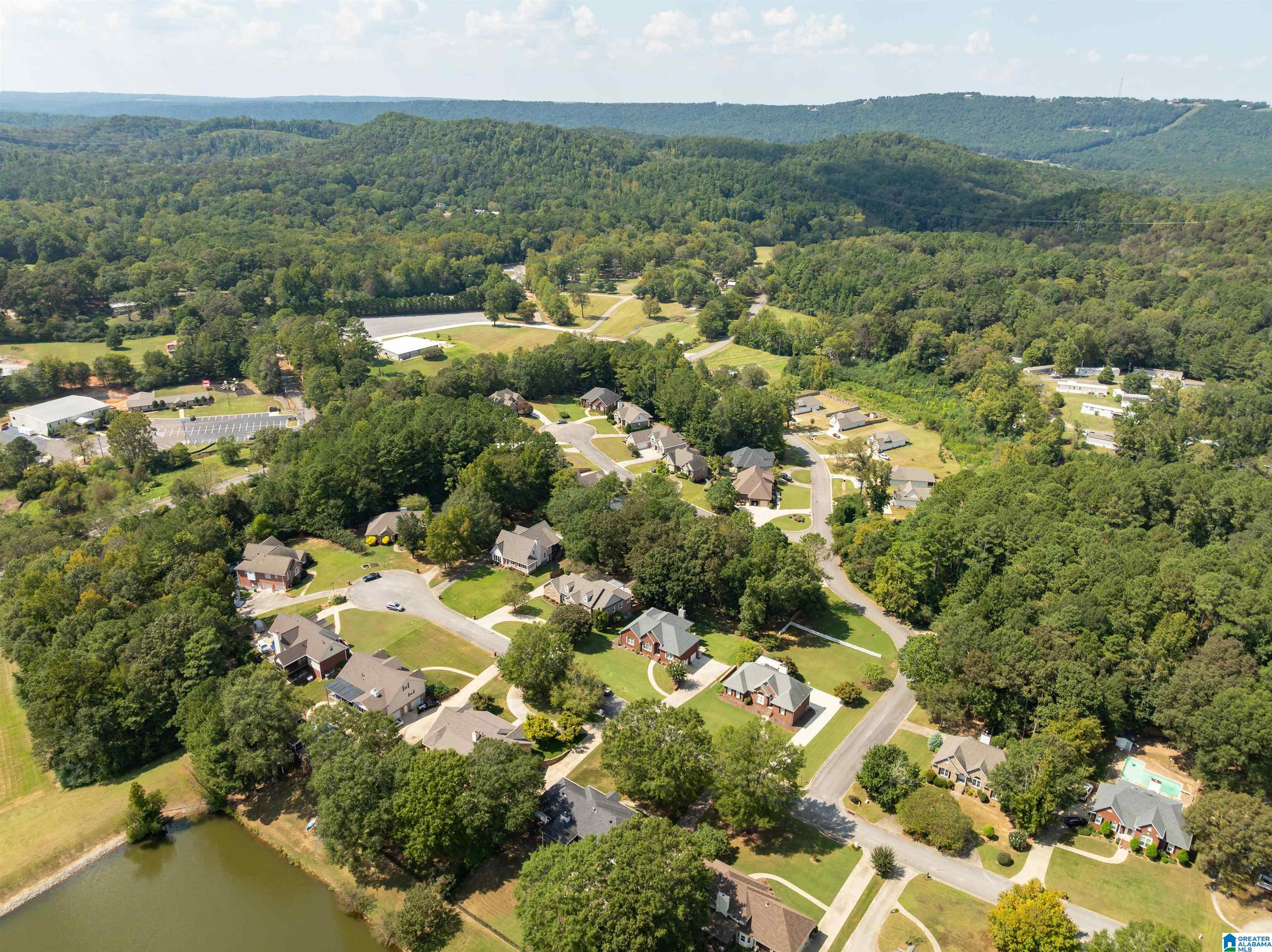 734 Rena Drive Springville, AL 35146 - Photo 44 of 55
