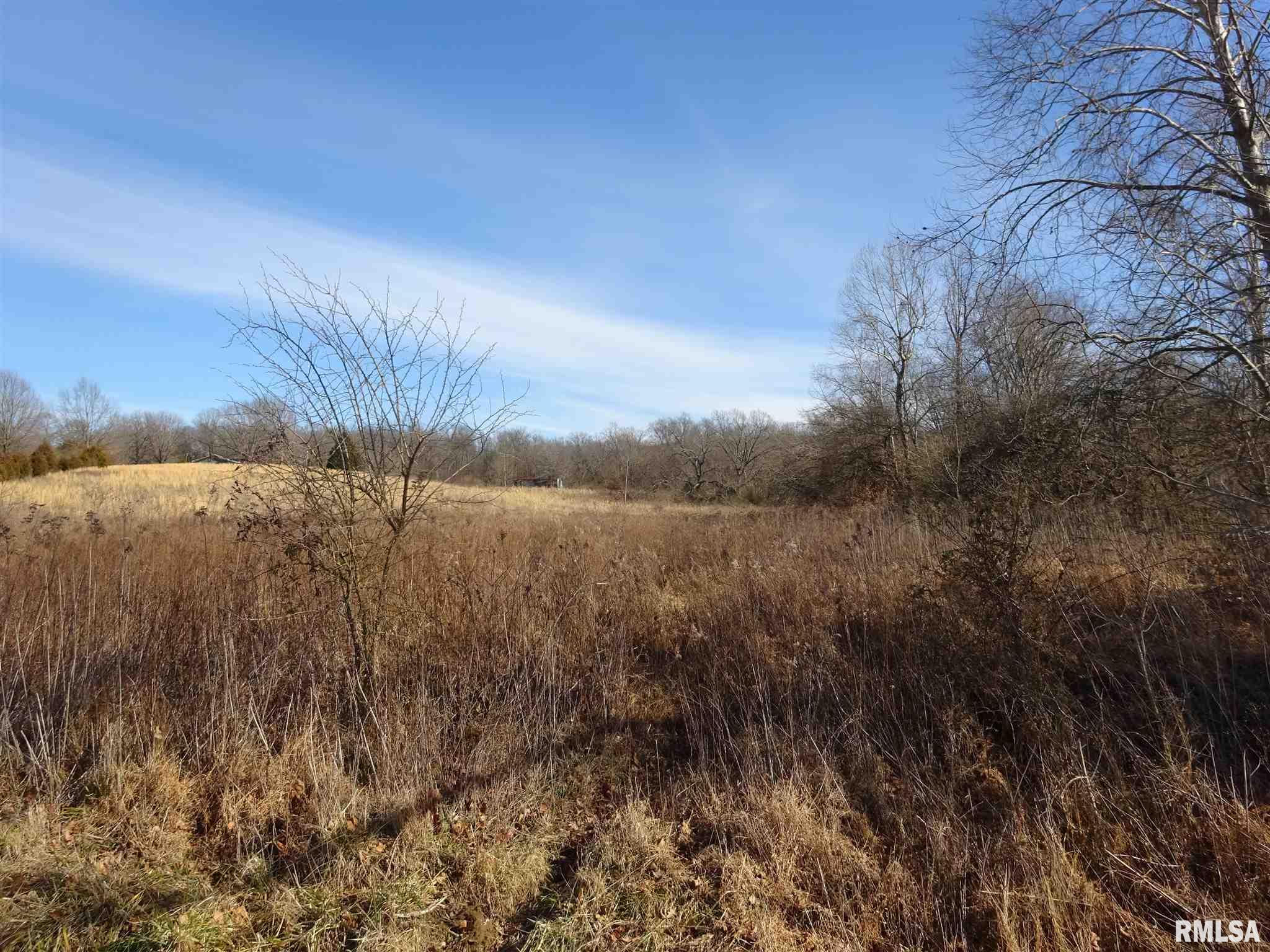 823 Deneal Road Harrisburg, IL 62946 - Photo 1 of 7