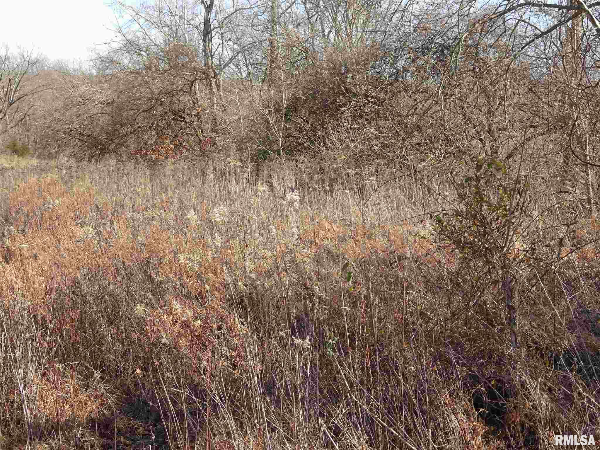823 Deneal Road Harrisburg, IL 62946 - Photo 7 of 7