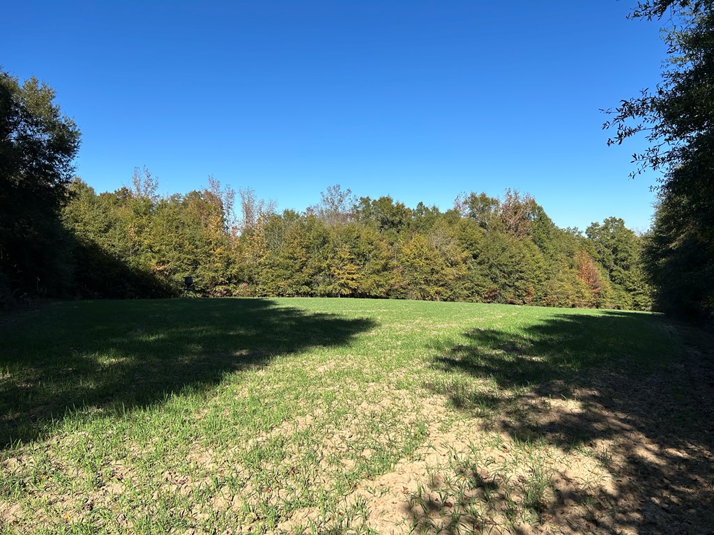 62/ Cty Road Coleman, GA 39836 - Photo 35 of 58