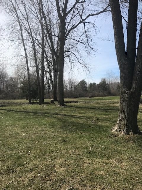 2222 Morrish Road Swartz Creek, MI 48473 - Photo 16 of 19 31376978-15.JPG