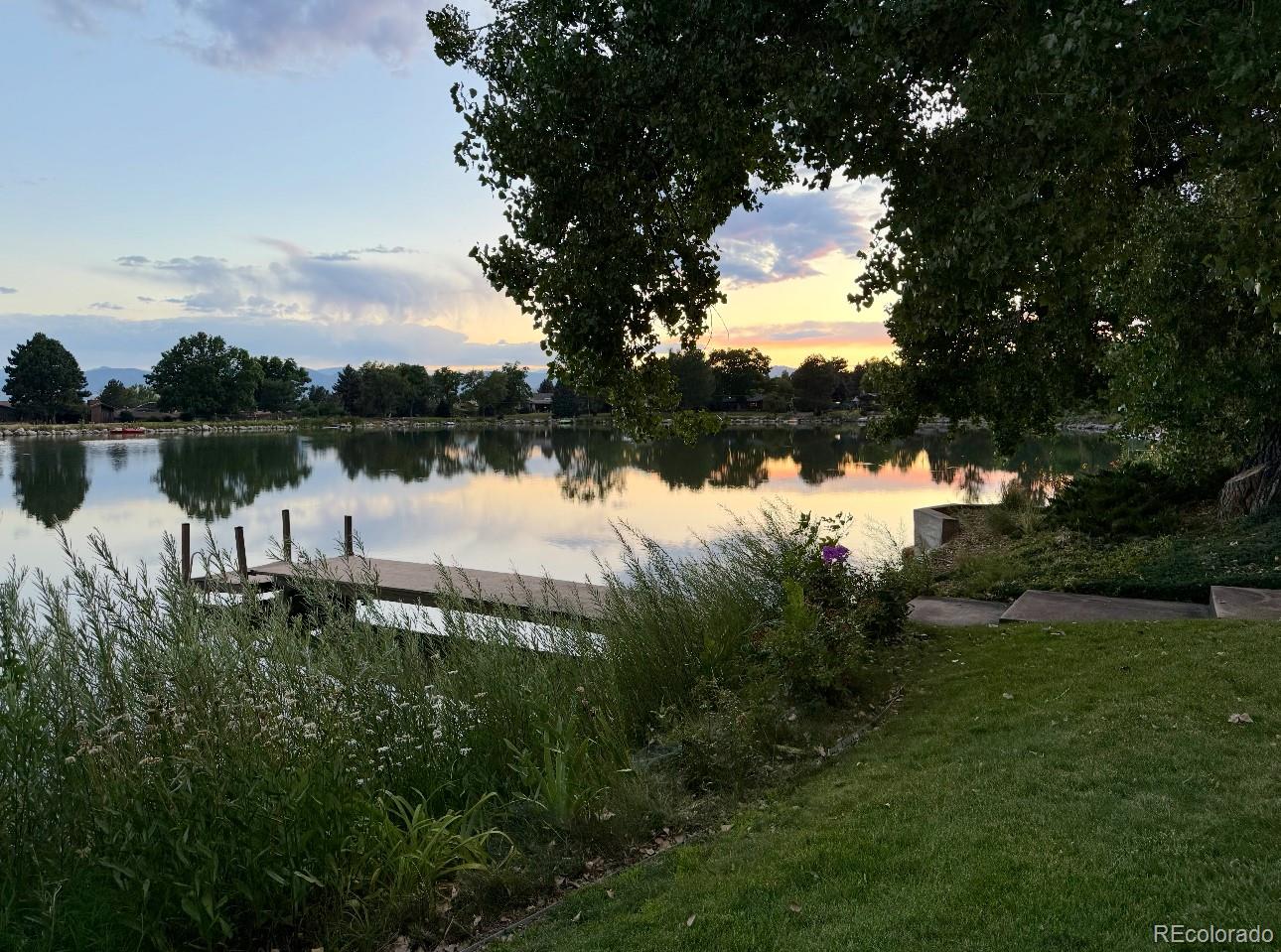 4595 West Lakeridge Road Denver, CO 80219 - Photo 45 of 50 a body of water with a tree in the background