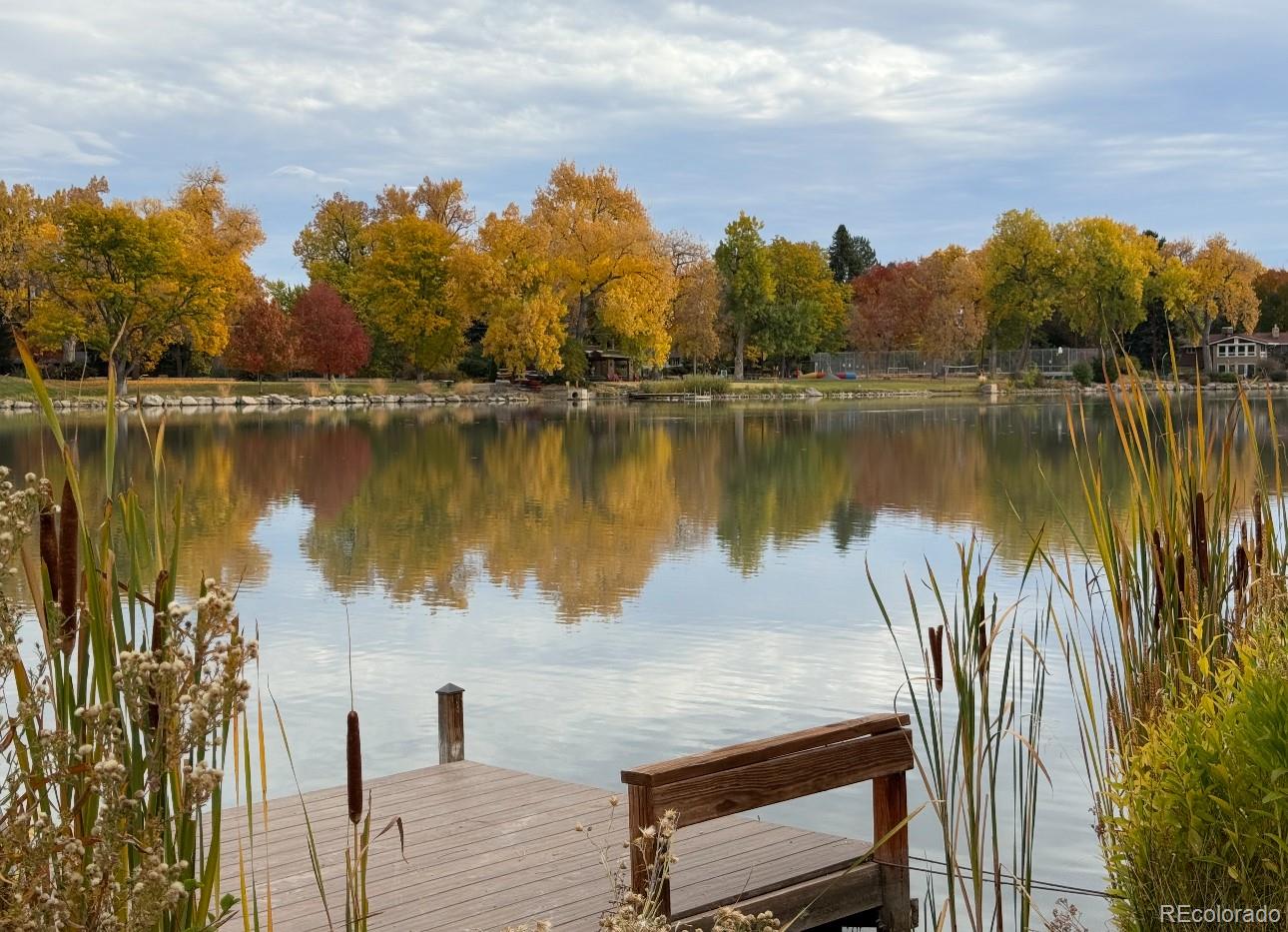 4595 West Lakeridge Road Denver, CO 80219 - Photo 47 of 50 a view of a lake with a yard and large trees