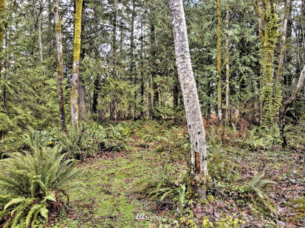 5008 Erlands Point Road Northwest Bremerton, WA 98312 - Photo 35 of 36 Gallery Image 35