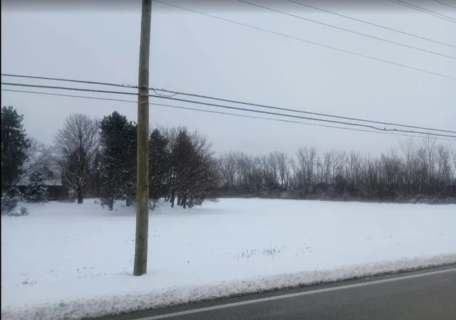 a view of a dry yard