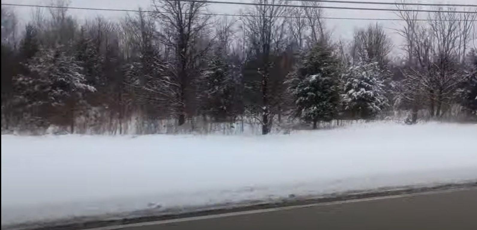 Vacant Lot West 167th Street Lockport, IL 60441 - Photo 5 of 9