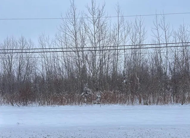 a view of a dry yard