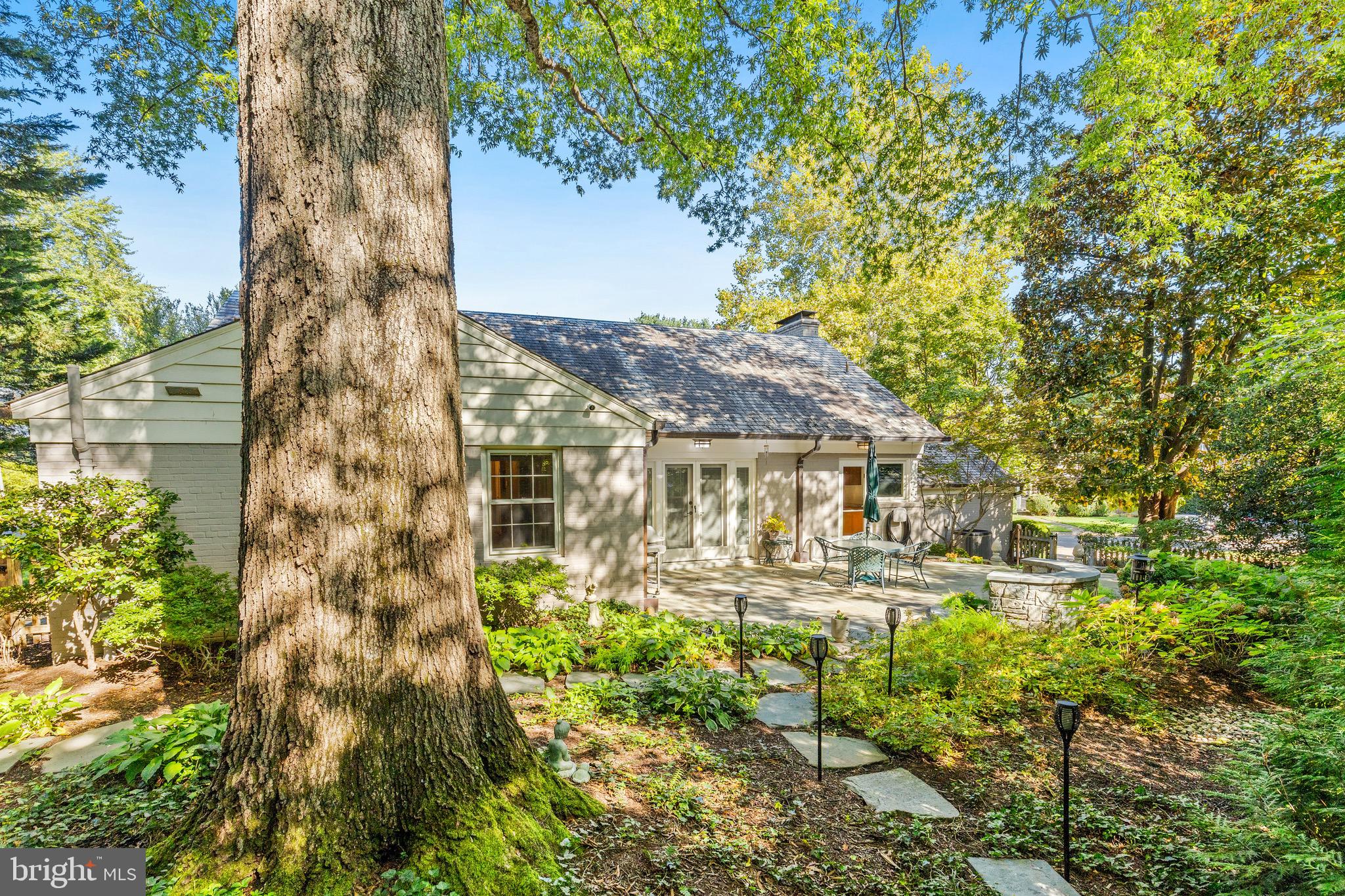 4225 50th Street Northwest Washington, DC 20016 - Photo 27 of 30 a view of a big yard with plants and a fountain