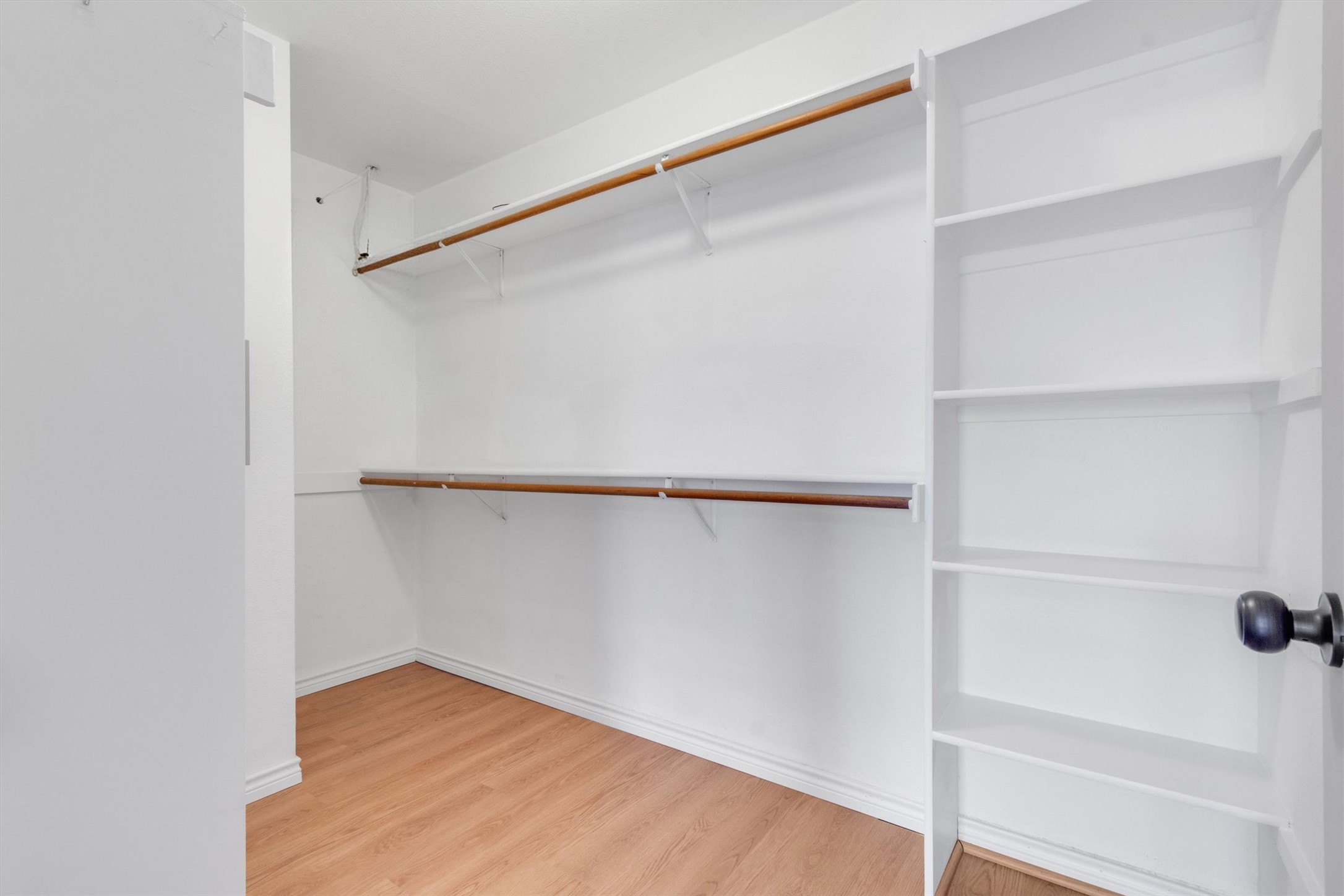 100 Madisons Way Buda, TX 78610 - Photo 21 of 30 Walk in closet with light wood-type flooring