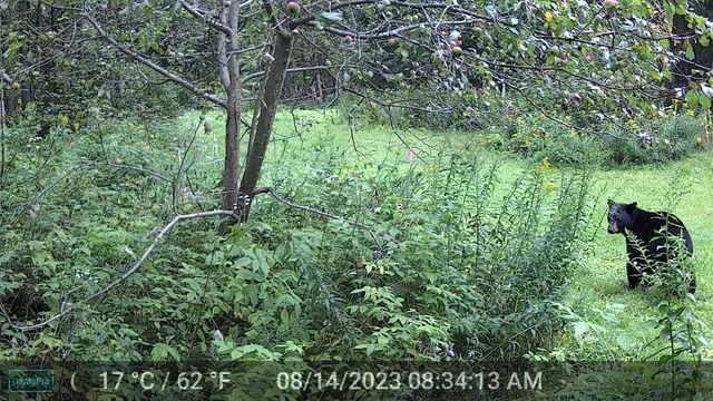 $675,000 | 1144 Center Road, Hardwick, VT 05843