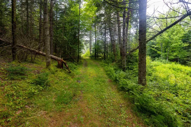 $675,000 | 1144 Center Road, Hardwick, VT 05843