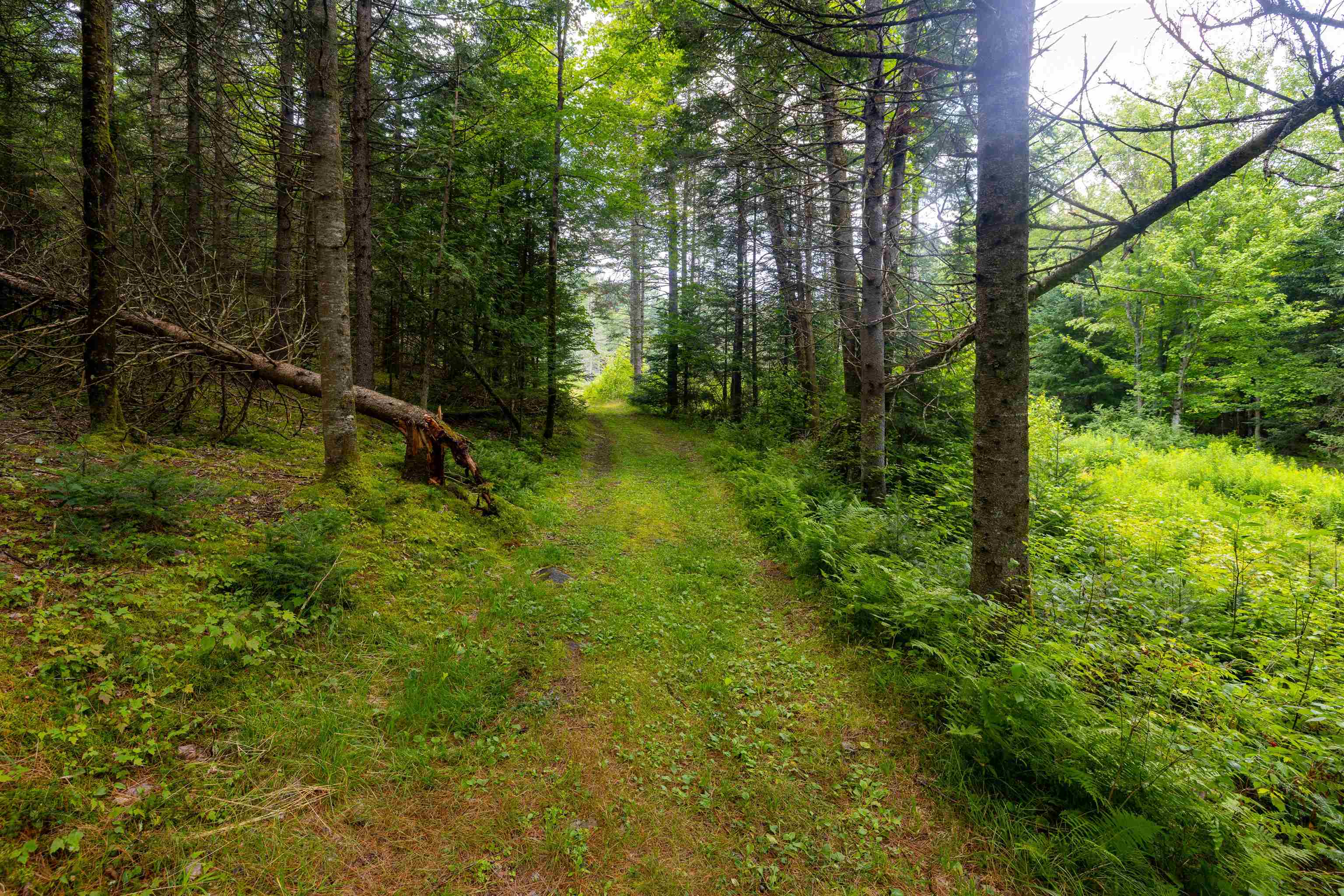 1144 Center Road Hardwick, VT 05843 - Photo 55 of 55