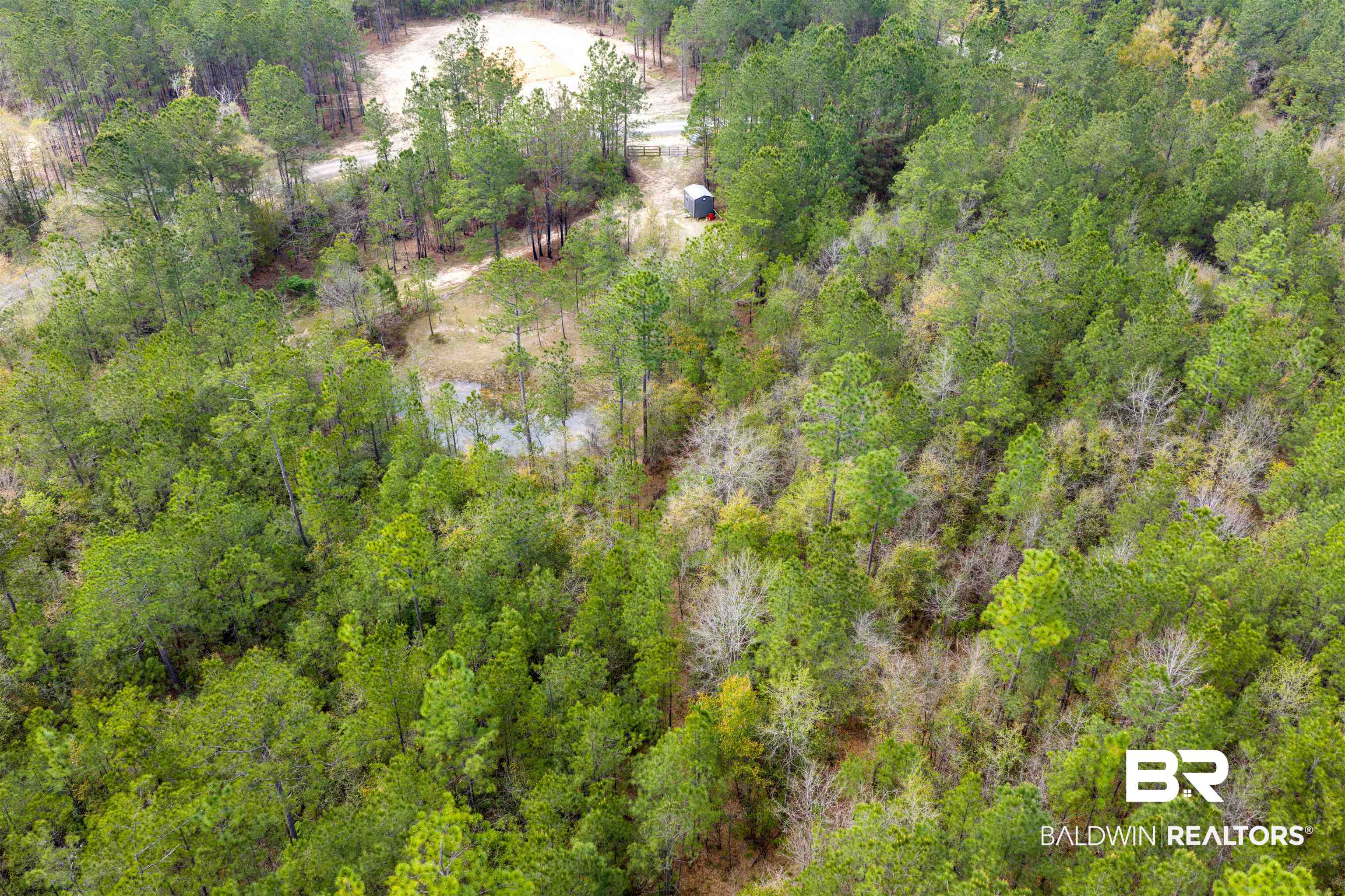 0 Salco Road Axis, AL 36505 - Photo 10 of 24 Bird's eye view