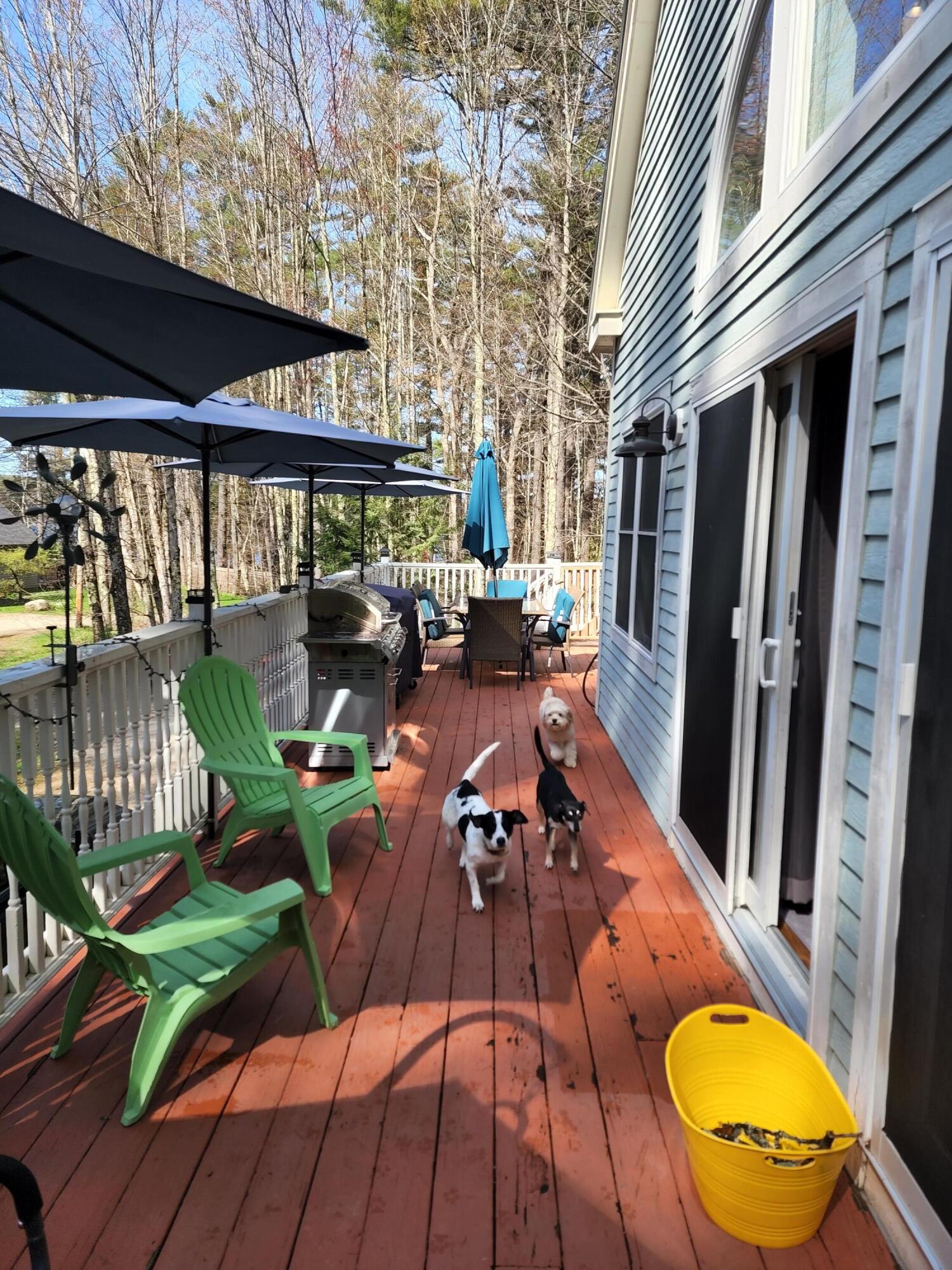 89 Pine Rock Road Naples, ME 04055 - Photo 9 of 47 20220505_094812