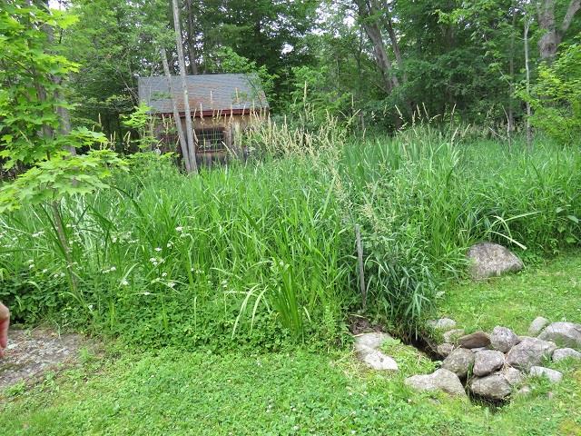 578 Center Road Hillsborough, NH 03244 - Photo 20 of 31