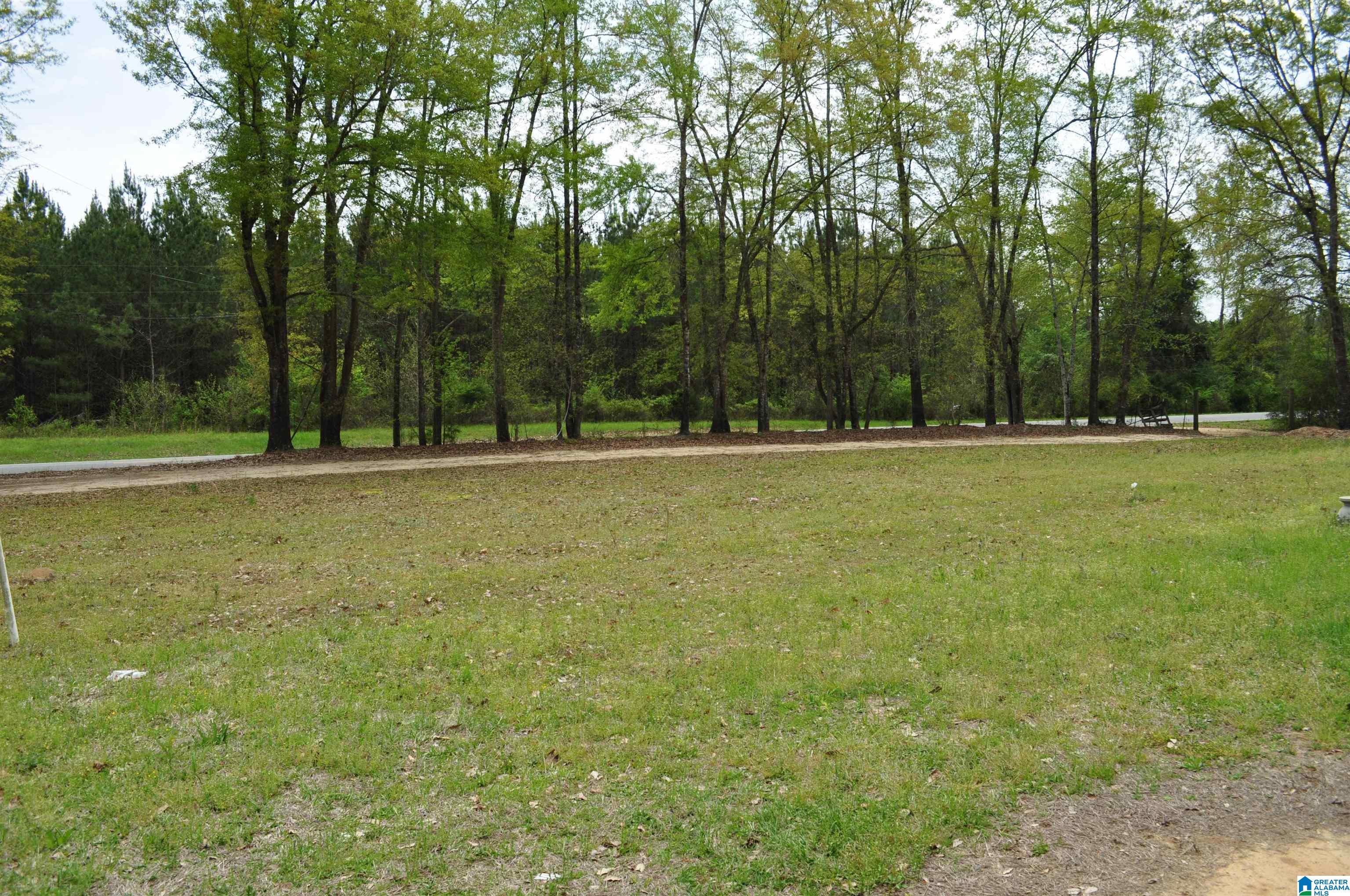 150 County Road 522 Selma, AL 36701 - Photo 9 of 30