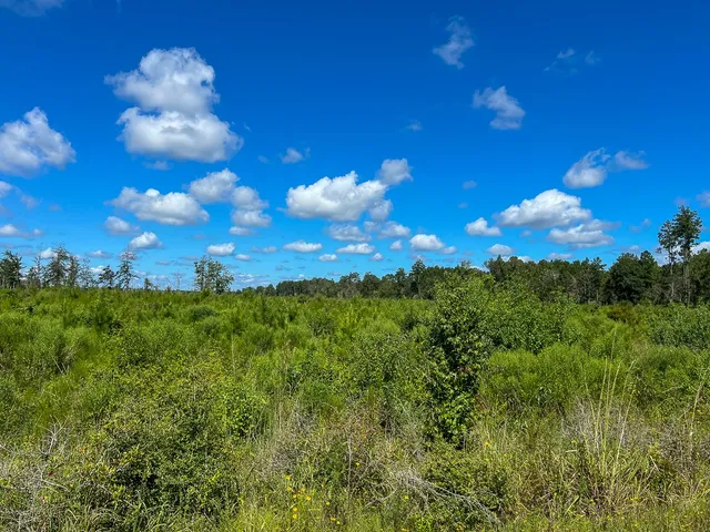 $708,400 | 6 Fm 92, Woodville, TX 75979