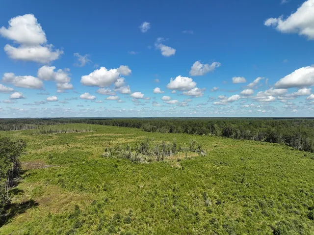 $708,400 | 6 Fm 92, Woodville, TX 75979