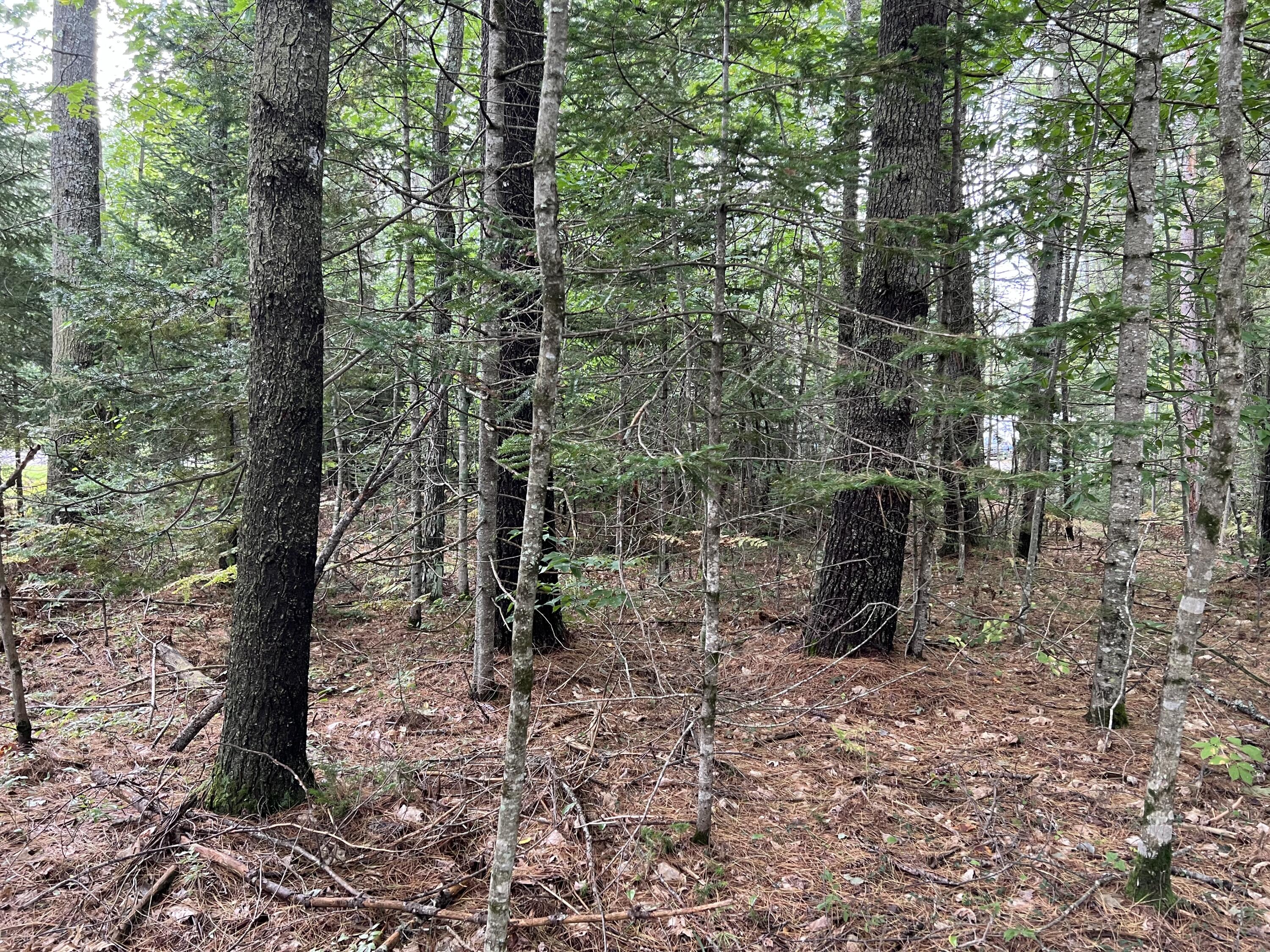 56 Pinewoods Road Lisbon, ME 04250 - Photo 4 of 4 IMG_8252