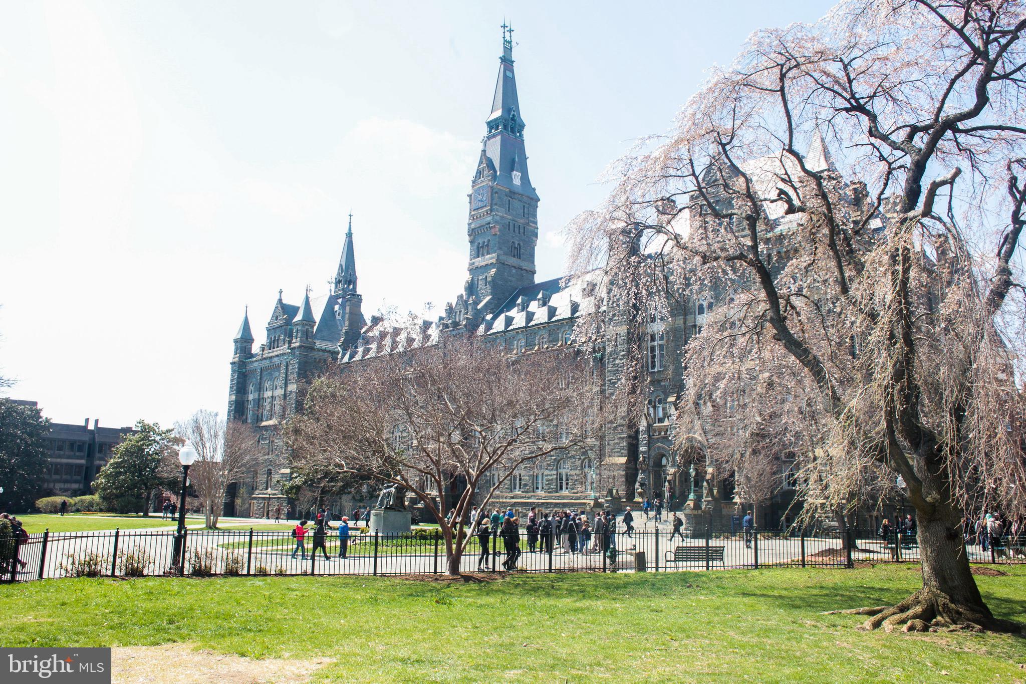 3403 O Street Northwest Washington, DC 20007 - Photo 32 of 35 a view of a green field