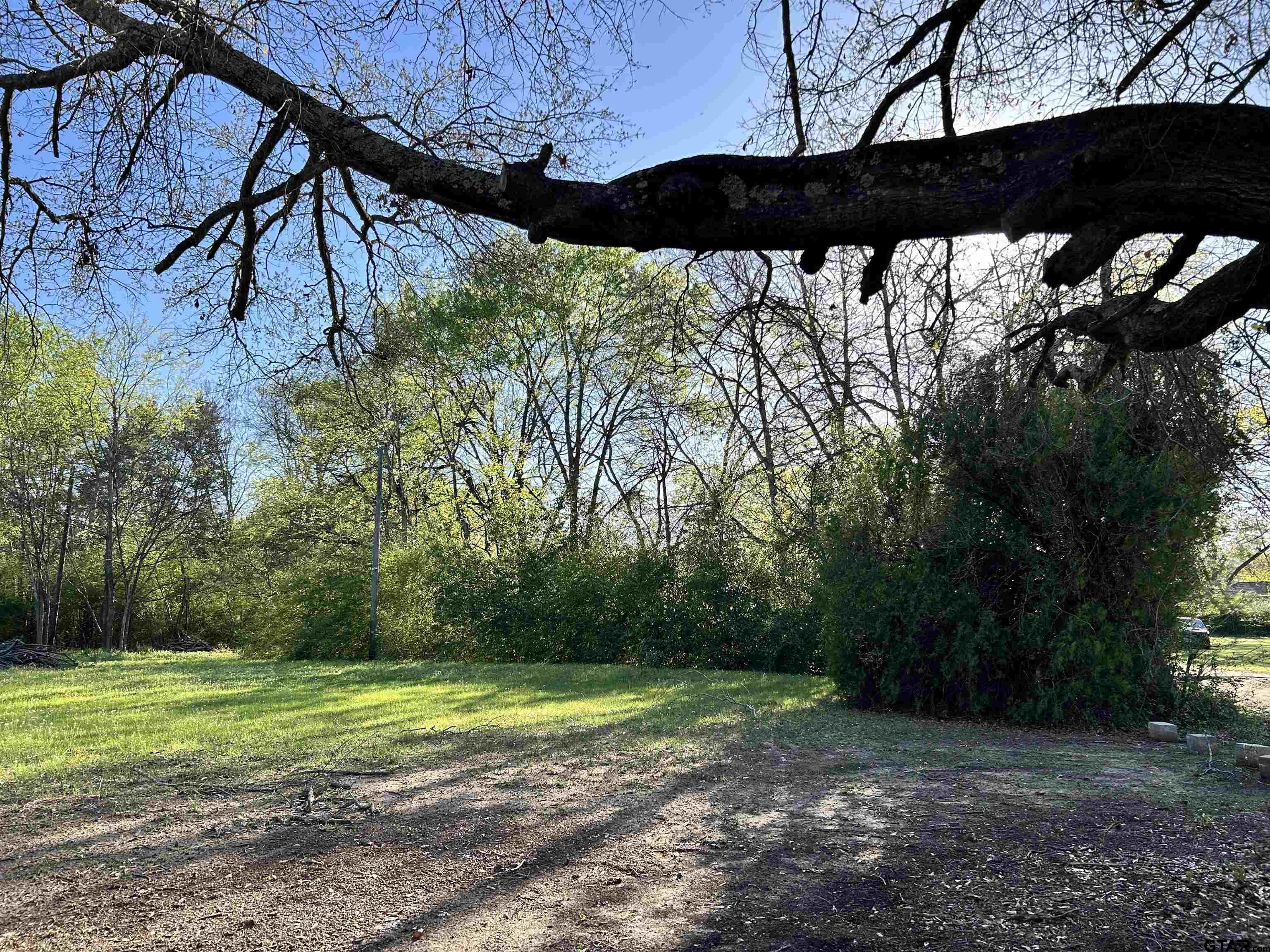 3108 Dudley Road Kilgore, TX 75662 - Photo 3 of 6