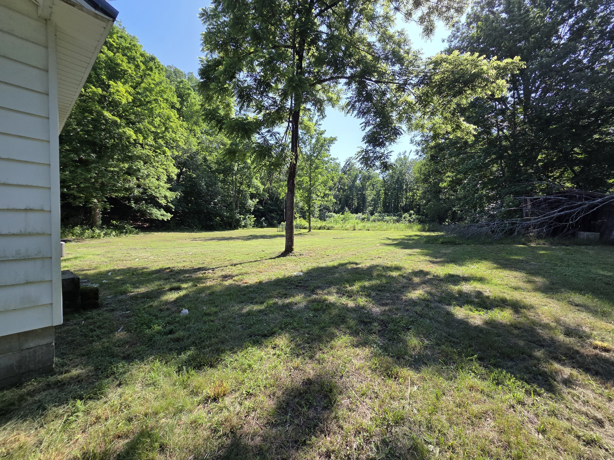 1316 Owl Hollow Road Linden, TN 37096 - Photo 6 of 15
