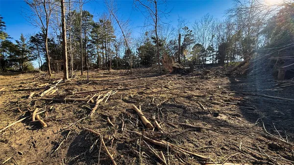 a view of a yard with trees