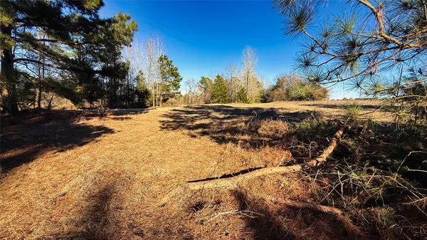 a view of mountain view