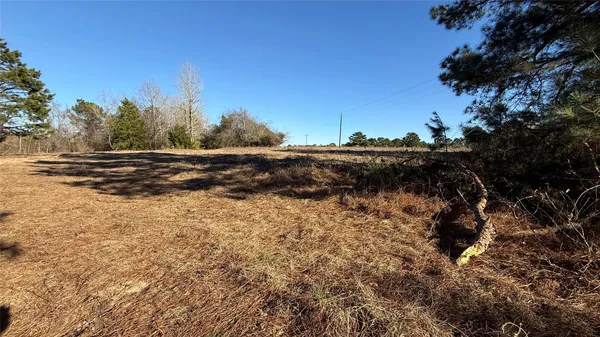 a view of a backyard of the house