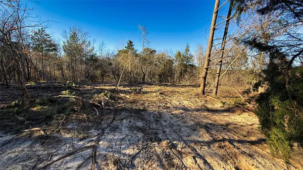 a view of a backyard of the house