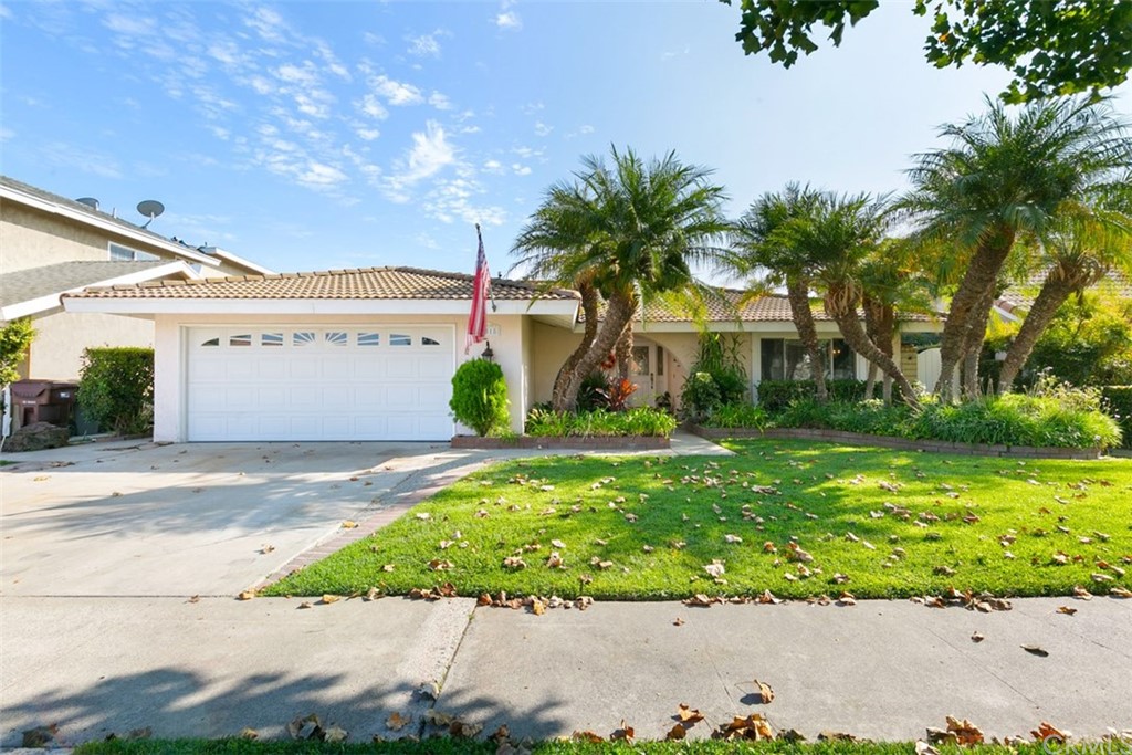Front exterior features roll up garage door, concrete driveway, tile roof, mature palms, attractive curb appeal
