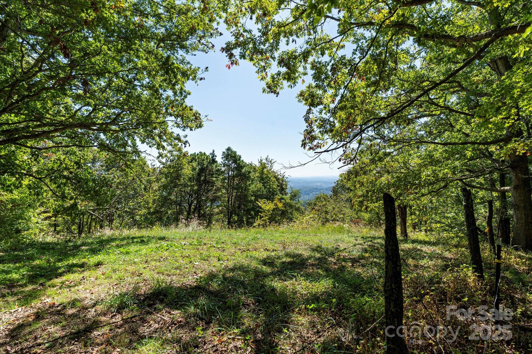 1623 Ammons Branch Road Marshall, NC 28753 - Photo 22 of 41