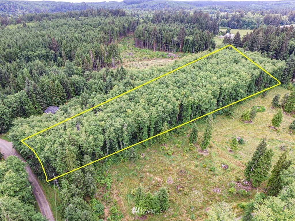 999 3 Rivers Road Forks, WA 98331 - Photo 1 of 21 Gallery Image 1