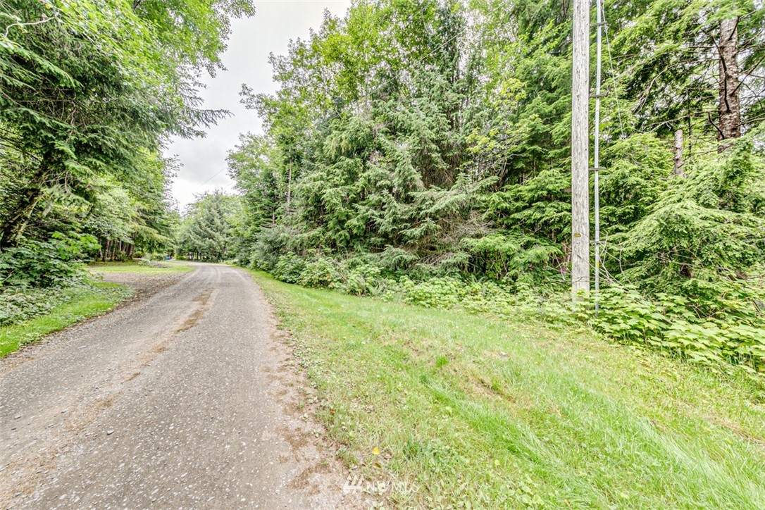 999 3 Rivers Road Forks, WA 98331 - Photo 2 of 21 Gallery Image 2