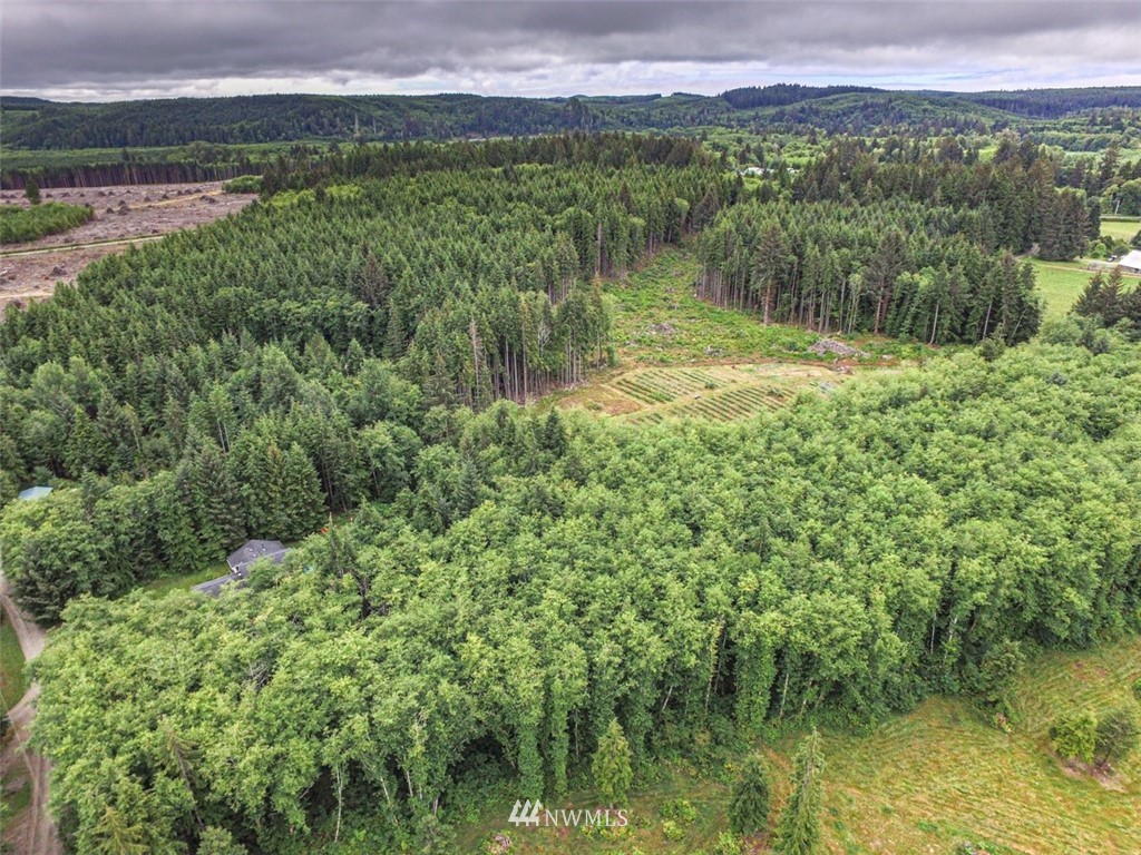 999 3 Rivers Road Forks, WA 98331 - Photo 11 of 21 Gallery Image 11