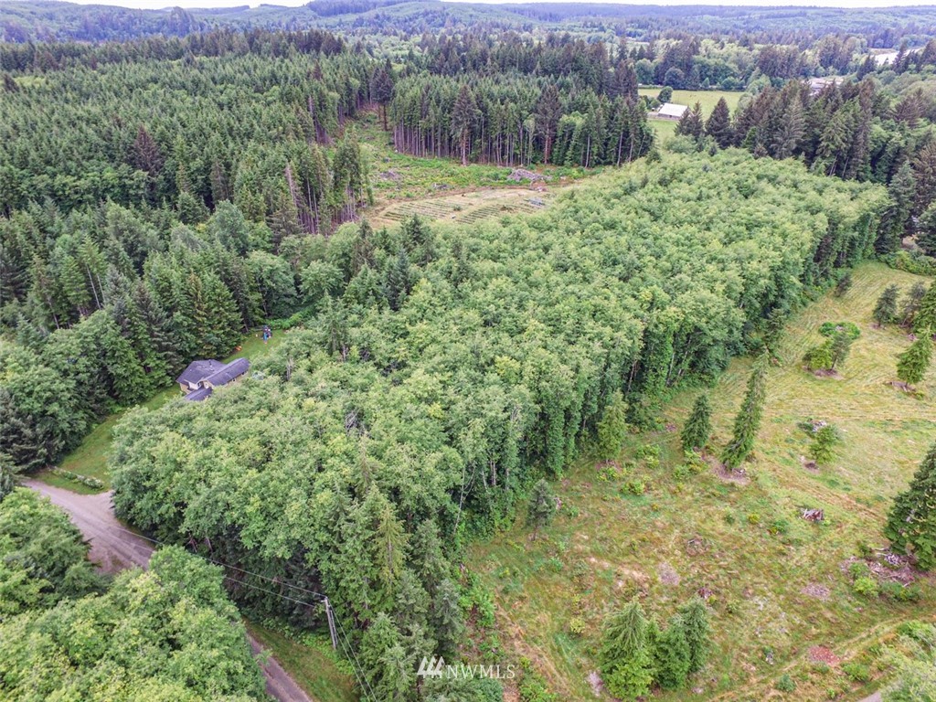999 3 Rivers Road Forks, WA 98331 - Photo 12 of 21 Gallery Image 12