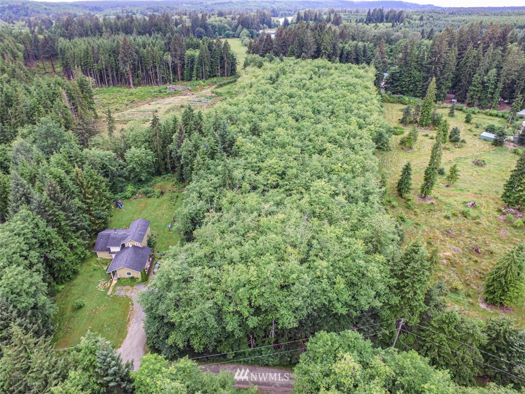 999 3 Rivers Road Forks, WA 98331 - Photo 14 of 21 Gallery Image 14